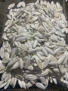 Os de seiche séchés en gros, poudre concassée, calcium naturel pour suppléments pour animaux de compagnie, prix bas, os de seiche de petite taille - Product Image 2