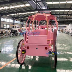 Carruaje Eléctrico para Bodas, Estilo Europeo, para Puntos Turísticos, Hoteles, Transporte de Turistas, Exposiciones Comerciales y Desfiles - Product Image 6