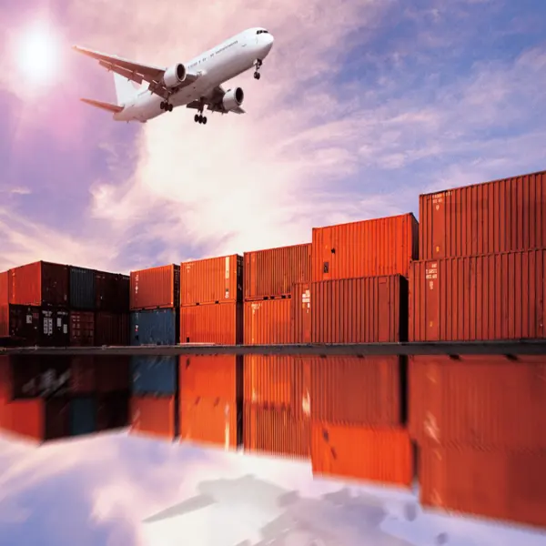Container Air Trucking Company From China to Canada Air Cargo Carrier
