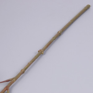 Potongan Harga Daun Bodhi Buatan untuk Pengaturan Dekorasi Pernikahan Daun Dekorasi Interior <span class=keywords><strong>Linden</strong></span> Buatan - Product Image 6