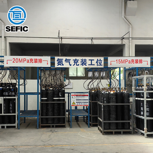 Cilindro de gas de nitrógeno de pureza 99.99% recargable estándar SEFIC TPED 40L 47L 50L - Product Image 5