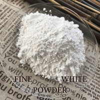 Bicarbonate de sodium de qualité alimentaire de marque Shandong Haihua, cendres de soude, carbonate de haute pureté
