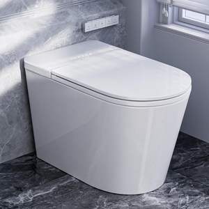 <span class=keywords><strong>Toilette</strong></span> intelligente moderne <span class=keywords><strong>avec</strong></span> <span class=keywords><strong>bidet</strong></span> <span class=keywords><strong>intégré</strong></span> siège chauffant séchoir à eau chaude veilleuse à chasse d'eau automatique pour salles de bains modernes - Product Image 1
