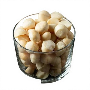 Made In Vietnam Premium Quality Wholesale Price Roasted <b>Macadamia</b> Kernel Bulk Supply - Product Image 1