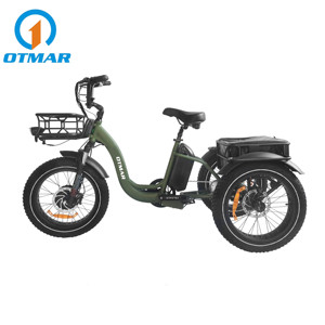 <span class=keywords><strong>Vélo</strong></span> électrique à trois roues motrices avant 2025 avec panier 750w gros pneu Cargo <span class=keywords><strong>vélo</strong></span> électrique - Product Image 1