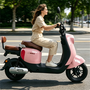 Bicicletta Elettrica con Telaio in Acciaio ad Alto Tenore di Carbonio, Durevole, per Pendolari, Scelta dei Grandi Distributori, Batteria al Piombo-Acido di Qualità - Product Image 4