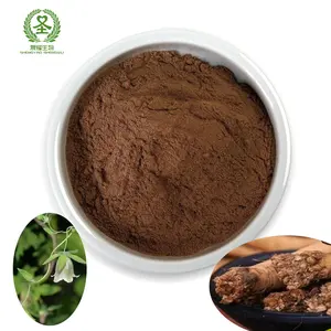 Natural Angelica sinensis extract polysaccharide 60% price discount Long shelf life easy to store Chinese factory suppliers