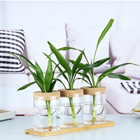 Pot hydroponique en verre borosilicate de haute qualité avec couvercle en liège et base en bois pour la culture en eau de Pothos et de Bambou porte-bonheur en intérieur