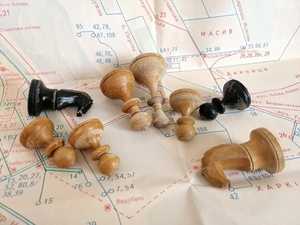 Pions en bois naturel lisses et polis pour jeux de société, apprentissage des mathématiques et tri – Jeu de pions en bois - Product Image 5