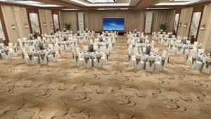 2024 indah High-end dinding untuk karpet dinding pemasok perjamuan Hall dan koridor axberujung karpet - Product Image 3