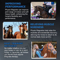 Appareil de massage magnétique PEMF pour animaux, formation gratuite, relaxation des muscles raides, machine de massage PEMF équine pour clinique vétérinaire
