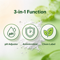 Acide lactique pur en poudre de qualité alimentaire, améliorant la valeur nutritionnelle, CAS 50-21-5, additif alimentaire, poudre d'acide lactique
