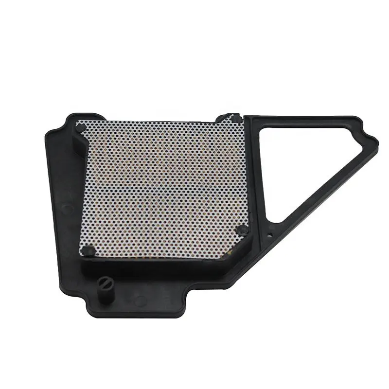 5VL-E4450-00 Filtro de aire de motocicleta personalizado para Yama. Ha YBR125 JYM125 2005-2014