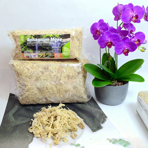 Musgo Sphagnum Seco Rico en Nutrientes MUSCHIO <span class=keywords><strong>para</strong></span> Suculentas y <span class=keywords><strong>Cactus</strong></span>, Soporte <span class=keywords><strong>para</strong></span> el Crecimiento de Plantas en Maceta, Decoración <span class=keywords><strong>para</strong></span> el Hogar y el Jardín - Product Image 1