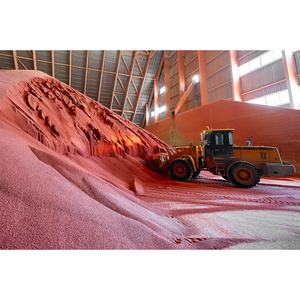 Engrais granulaire de potassium doré, pureté 99,9 %, pour une productivité agricole élevée, des racines de plantes fortes et un apport équilibré de nutriments dans le sol - Product Image 3