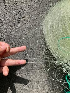 高品質HDPE耐老化果樹園鳥よけネット、防雹ネット、野菜園農業用植物池保護ネット - Product Image 6