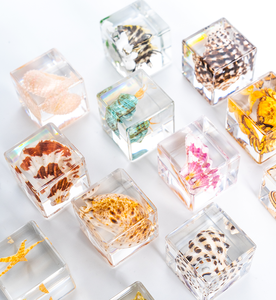 Cubo Ornamentale in Resina con Insetto Incapsulato, Incredibile Resina Trasparente per Esposizione di Insetti, Altri Risorse Didattiche - Product Image 6