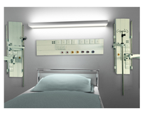 Jumlah Besar Rumah Sakit Bed Head Unit Harga Pabrik Kustom