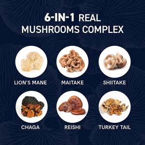 ODM/OEM Marque Privée Gouttes de Champignon Crinière de Lion Extrait Naturel Soutien Immunitaire Fibres Alimentaires - Product Image 3
