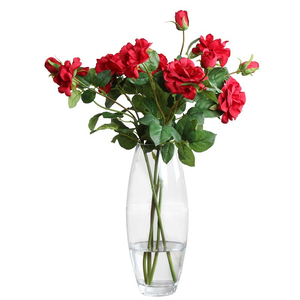 Commercio all'ingrosso prodotti di vendita calda il vaso di vetro <span class=keywords><strong>ovale</strong></span> vaso di fiori decorativo vaso di vetro - Product Image 4