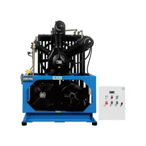 快速输送高压活塞工业空气压缩机30 bar 22 kw 2 m ^ 3/min用于饮料行业