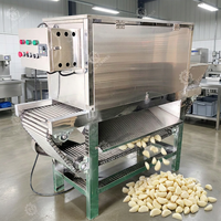 Machine industrielle automatique à éplucher l'ail de type chaîne avec un taux d'épluchage à sec élevé pour l'atelier d'assaisonnement