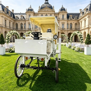 Élégante calèche électrique de conte de fées pour mariages, événements touristiques et location, accessoire photo - Product Image 3