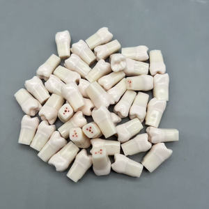 Зубной белый зубной манекен с пластиковой смолой Материал для студентов для практики миелотомии корневого канала - Product Image 3