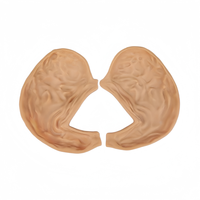 Módulo de Simulación Laparoscópica para Procedimientos Quirúrgicos de Anastomosis Gástrica - Práctica 3D para Sutura y Corte