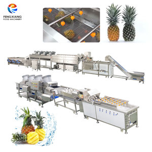 Machine de lavage et de séchage d'ananas 1000-2000 kg/h, ligne de traitement d'ananas - Product Image 1
