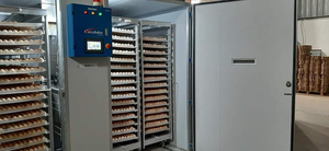 Cheapest Price <b>Incubator</b> for Sale <b>Incubators</b> for Hatching <b>Eggs</b> Full Automatic Automatic Large From Vietnam Manufacturer - Product Image 6