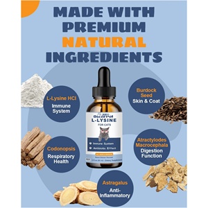 OEM/ODM Oscar Suppléments liquides <span class=keywords><strong>pour</strong></span> animaux de compagnie L-<span class=keywords><strong>Lysine</strong></span> <span class=keywords><strong>pour</strong></span> chats Codonopsis Astragalus Support immunitaire et de santé - Product Image 4