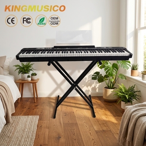 Piano numérique à touches lestées standard SKS-R20 88 touches, matériau ABS, série DREAM 5, 129 sons, 60 morceaux de démonstration, électronique professionnel - Product Image 2