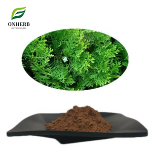Suministro de fábrica 100% Extracto de hoja de arborvitae oriental natural 99% Polvo de extracto de ramita y hoja de arborvitae chino - Product Image 1