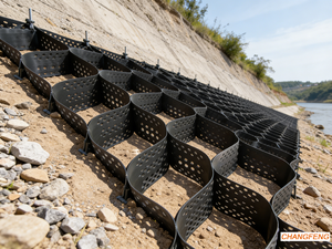 Géocell HDPE léger de 50-400 mm, installation facile, tapis de contrôle de l'érosion pour les pentes et les canaux - Product Image 5