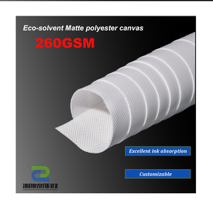 Sinh Thái Dung Môi Matte Polyester Vải Cuộn 260gsm In Vải Kéo Dài In Phun Vải Cho Nghệ Thuật-Bền - Product Image 1