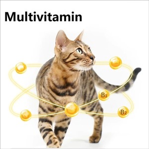 Kautabletten für Verdauungsgesundheit und Immununterstützung, Sichere Schnelle Absorption, Nahrungsergänzungsmittel für Katzen und Hunde Aller Rassen und Lebensphasen - Product Image 5