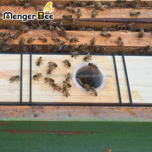 Mangeoire à abeilles pratique de 6,5 L en plastique avec couvercle en bois pour nourrir les abeilles avec du miel, de la nourriture et de l'eau - Product Image 6