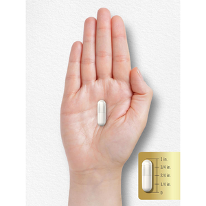 OEM一酸化窒素ブースターカプセル（L-アルギニンとL-シトルリン配合）筋肉増強と循環促進（成人向け） - Product Image 5