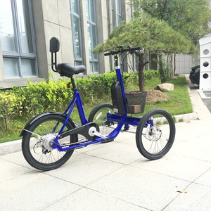 Bicicletta Elettrica da Carico a Tre Ruote con Carico Frontale e Cestino Anteriore - Product Image 2