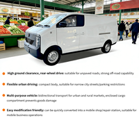 Nouvelle Mini Fourgonnette CE Véhicule de Livraison Utilitaire 13.5T, Voiture Électrique à Nouvelle Énergie, Camionnette Électrique, Mini Voiture Électrique Adulte