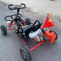 Buggy Go Kart Económico para Exteriores de 63cc con Suspensión de Brazos y Amortiguador para Arena, Motor de Gasolina de 2 Tiempos y Arranque Manual