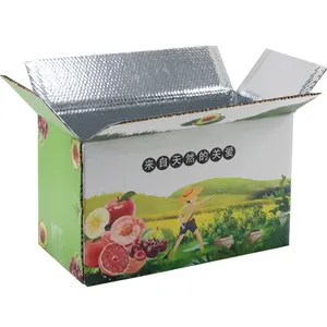 Custom Rigid Insulated Food Packaging Boxes Environmentally Friendly Shipping Boxes for Frozen Food Cake and Milk Delivery