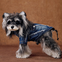 Nouvelle Collection 2026 : Veste en Jean Tendance pour Animaux – Blouson en Denim pour Chien et Vêtements pour Chat