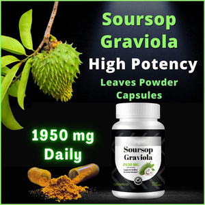 Cápsulas de Extracto de Hojas de Guanábana Orgánica Pura y Natural, 120 Cápsulas, Marca Privada OEM al por Mayor, Refuerzo Inmunológico para Adultos - Product Image 2