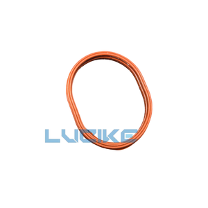 Cincin Penutup Katup Mesin Mobil <span class=keywords><strong>2</strong></span>.<span class=keywords><strong>2</strong></span> Diesel LR009411 LR009412 LR002834 untuk Land Rover Range Freelander II - Product Image 6