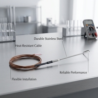 Capteur de température PT100 RTD blindé flexible PROG SR105-1 pour moules à haute température et cavités étroites, mesure industrielle, précision 0,1 %