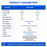 Batterie LiFePO4 51,2 V 100 Ah à montage en rack avec BMS intelligent, RS485 CAN pour serveur IA, centre de données, calcul en périphérie, alimentation de secours UPS