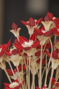 Moon Yu ชุดรวมแฮนด์เมดสำหรับตกแต่งบ้าน DIY - Product Image 4