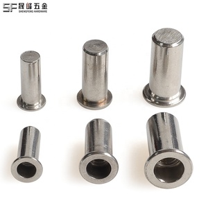Hạt đinh tán đinh tán bằng khí nén đánh bóng 10 #-32 1/4 '-20 5/16'-18 3/8 "-16 Đầu phẳng ren chèn hạt đinh tán hạt đinh tán mù dài - Product Image 1